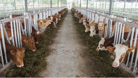 養殖場有必要（yào）安裝一體化汙水（shuǐ）處理（lǐ）設備嗎（ma）